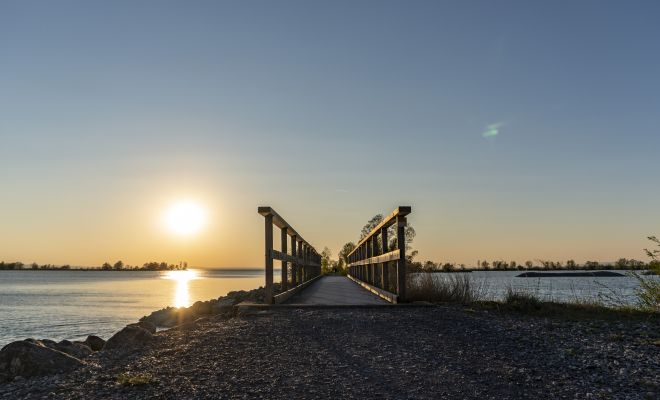 Lagunenrundweg Fußach