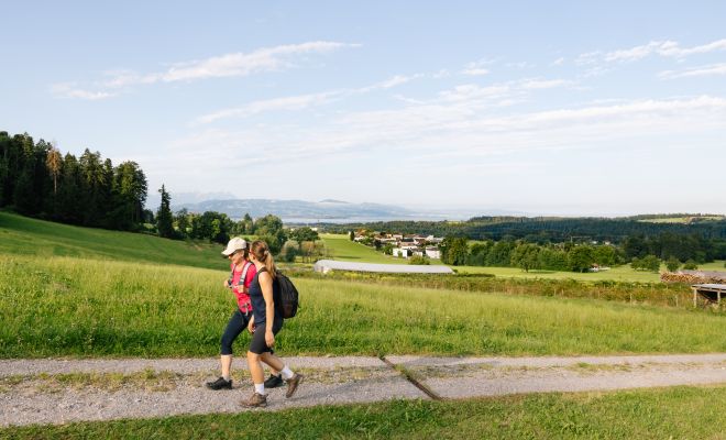 Wanderung mit Blick auf den Bodensee Wanderung mit Blick auf den Bodensee