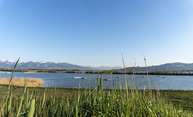 Lagunenrundweg FuÃach Vögel Nistplätze Lagunenrundweg FuÃach Vögel Nistplätze