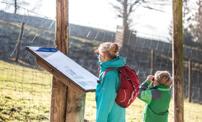 Pfänder Alpenwildpark Pfänder Alpenwildpark