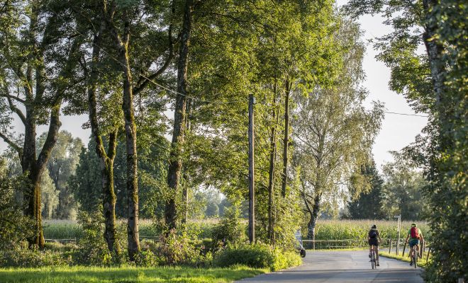 Radfahren am Bodensee Radfahren am Bodensee