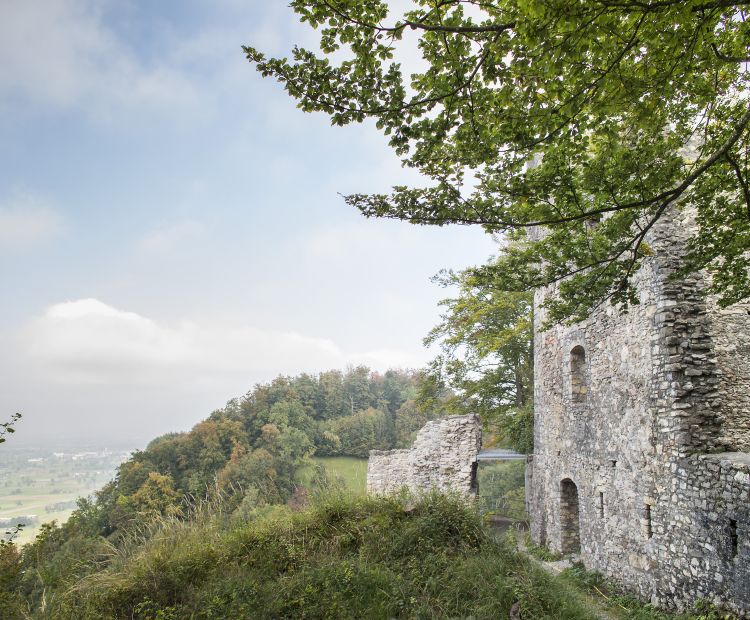 Ruine Alt-Ems Ruine Alt-Ems