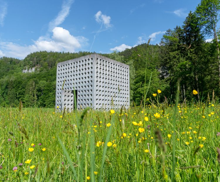Wasserhaus St. Arbogast, GÃ¶tzis