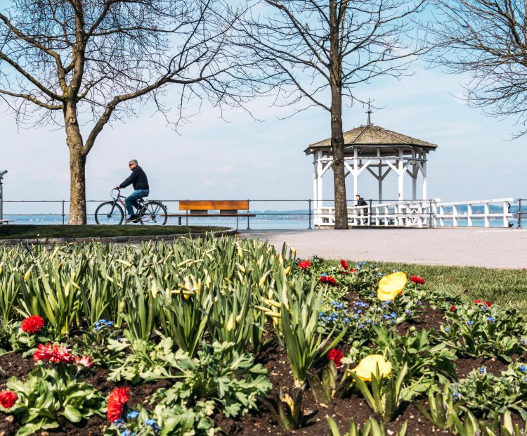 Frühling an der Seepromeande in Bregenz