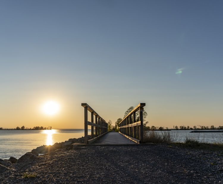 Lagunenrundweg Fußach