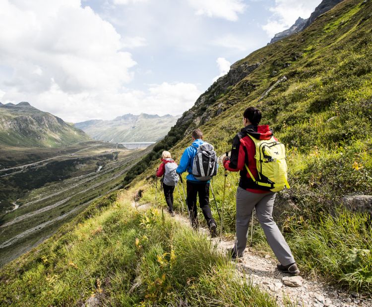 Tschiffernella Tschiffernella