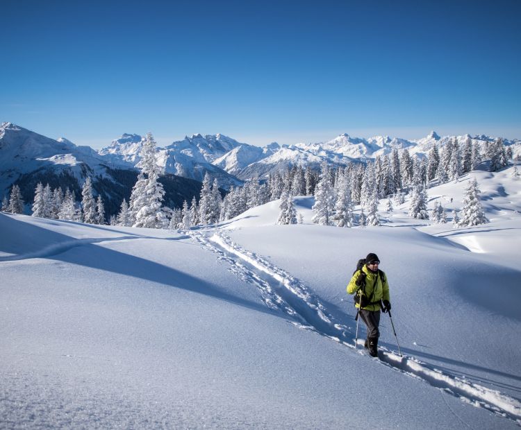 Skitour zum Gipfel MuttjÃ¶chle