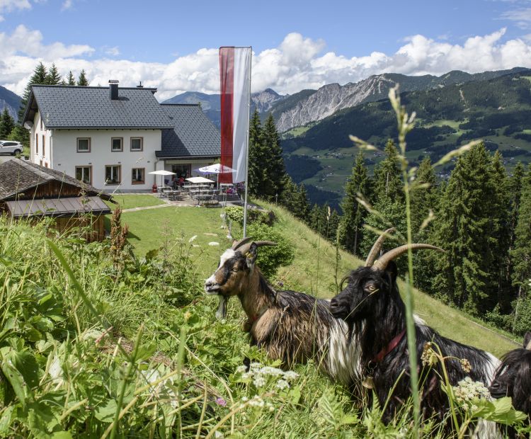 Berggasthof Grabs im Sommer