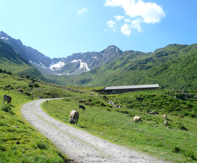 Obere Wasserstubenalpe Obere Wasserstubenalpe