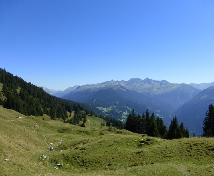 Korallenriff Korallenriff