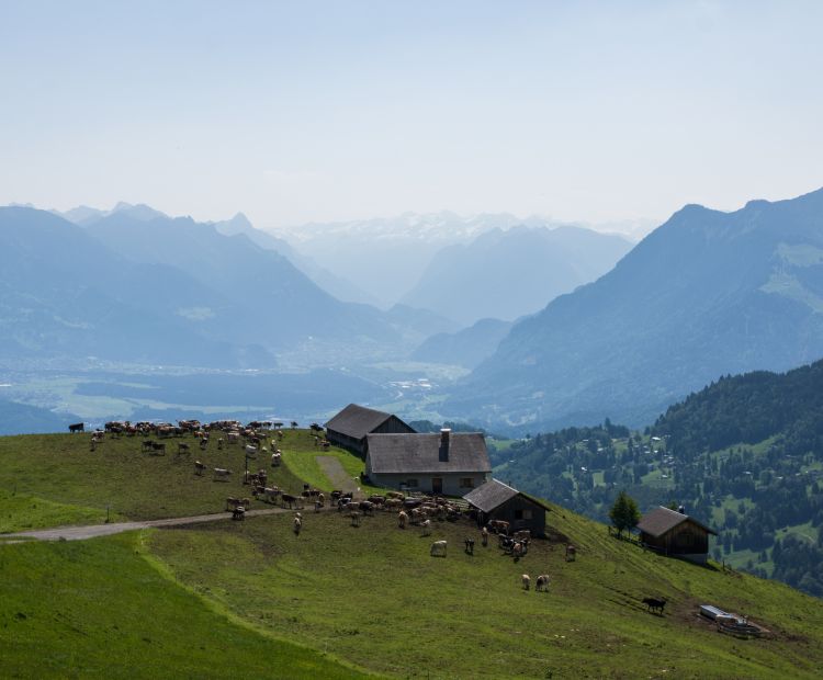 Blick auf Amerlugalpe, Frastanz