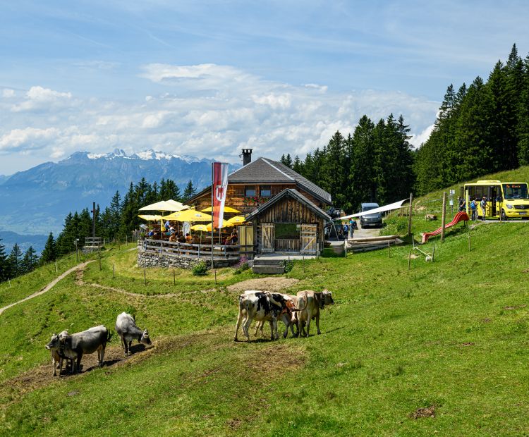 Landbus in Schnifis Landbus in Schnifis