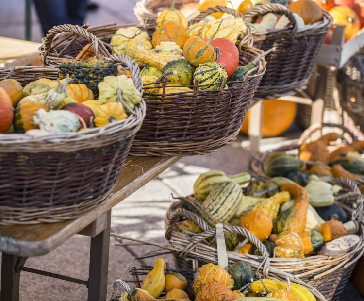 Kürbis beim Markt in Dornbirn im Herbst 