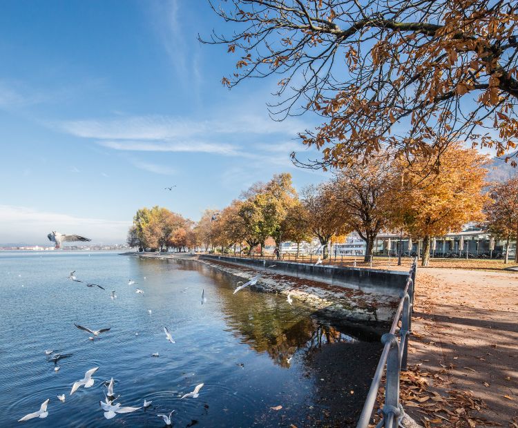 Bregenz am See im Herbst Bregenz am See im Herbst