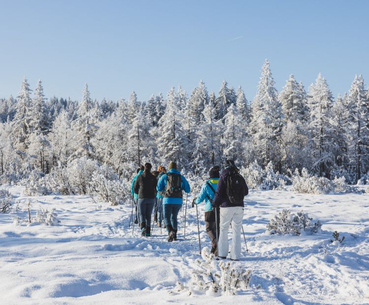 Winterwandern Bödele Winterwandern Bödele