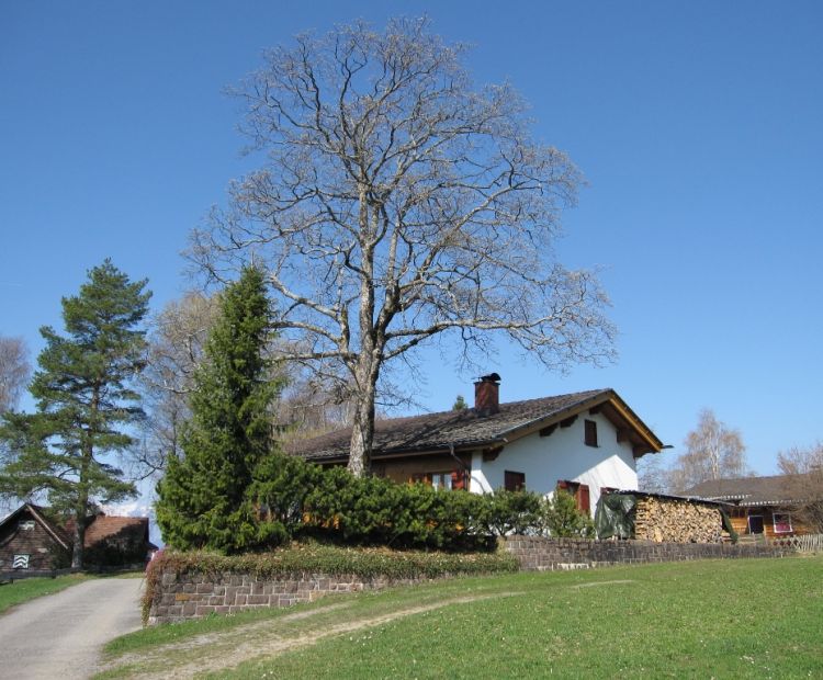 Ferienhaus "Zimbablick" - Heinzle, Ãbersaxen Ferienhaus "Zimbablick" - Heinzle, Ãbersaxen