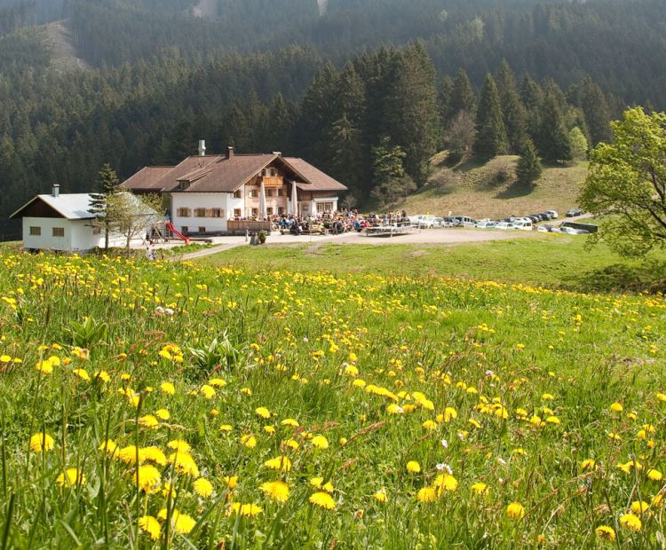 Gasthof MillrÃ¼tte Resort, GÃ¶tzis