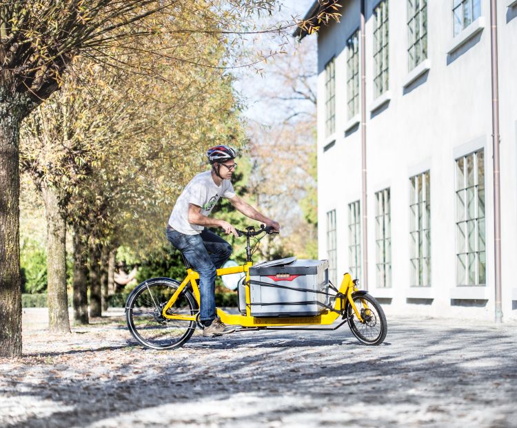 Ralph Hollenstein - Pedalpiraten Ralph Hollenstein - Pedalpiraten