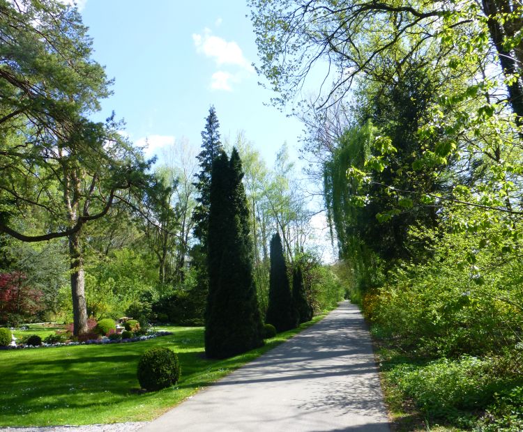 Am Rheinauweg Am Rheinauweg