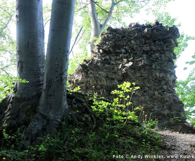 Weiler, Burgruine Alt Montfort