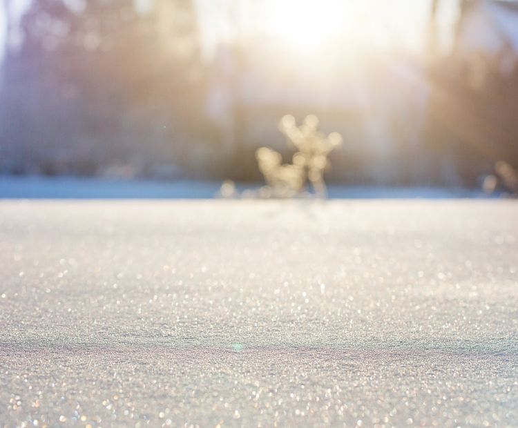 Schnee Schnee