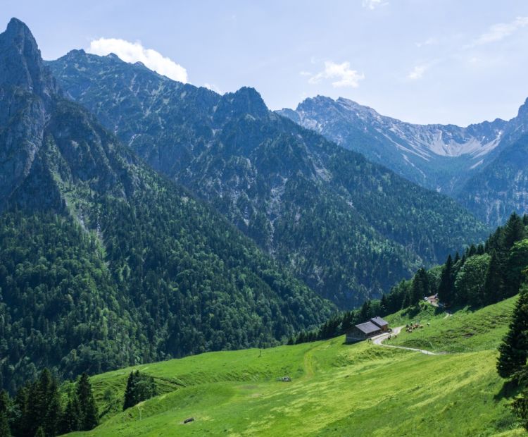Auf dem Weg zur Gaudenzaalpe