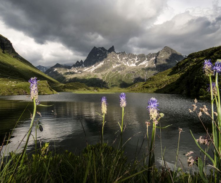 Langsee im hinteren Silbertal mit Patteriol