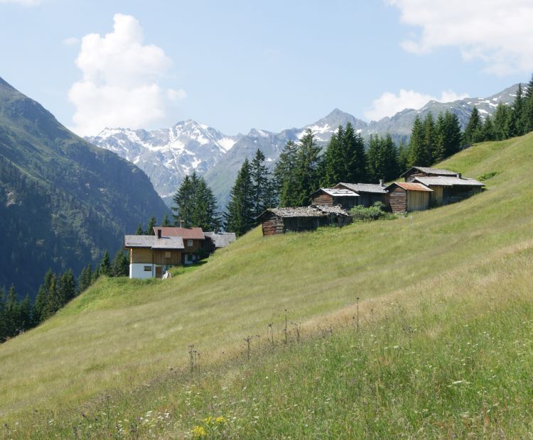 MaisÃ¤Ã Lifinar