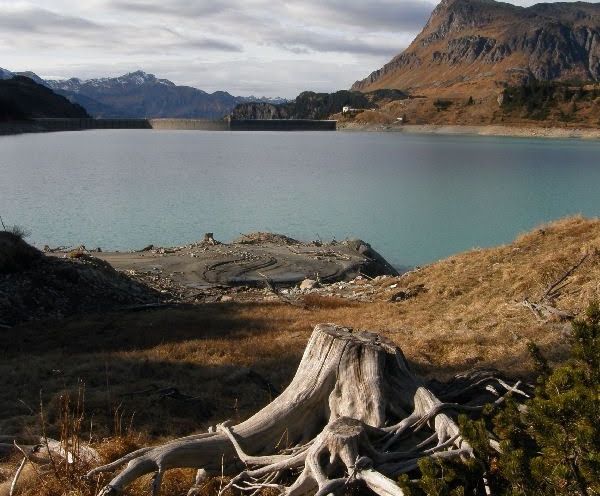 __NO_NAME__ __NO_NAME__