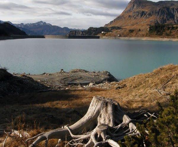 __NO_NAME__ __NO_NAME__