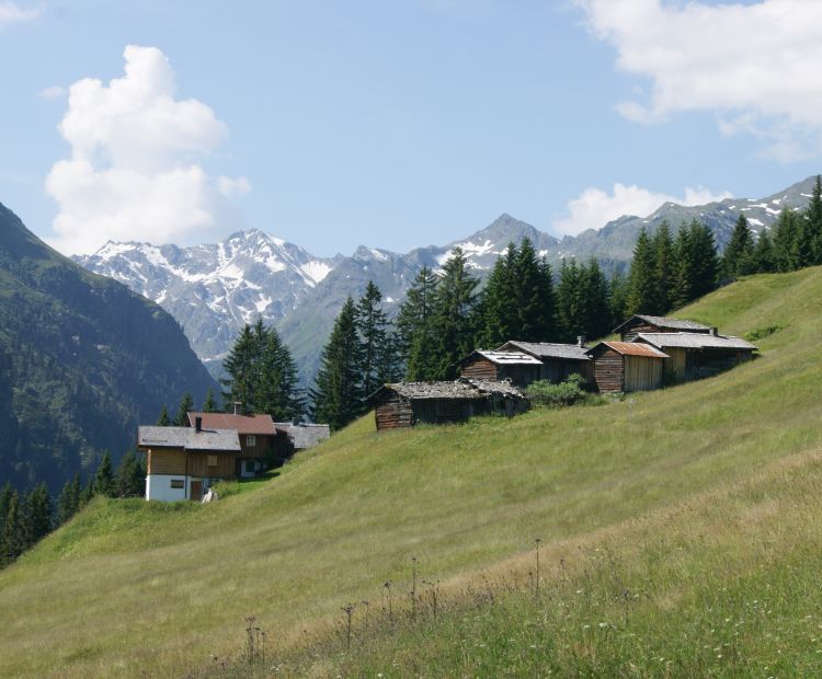 Lifinar - MaisÃ¤Ã