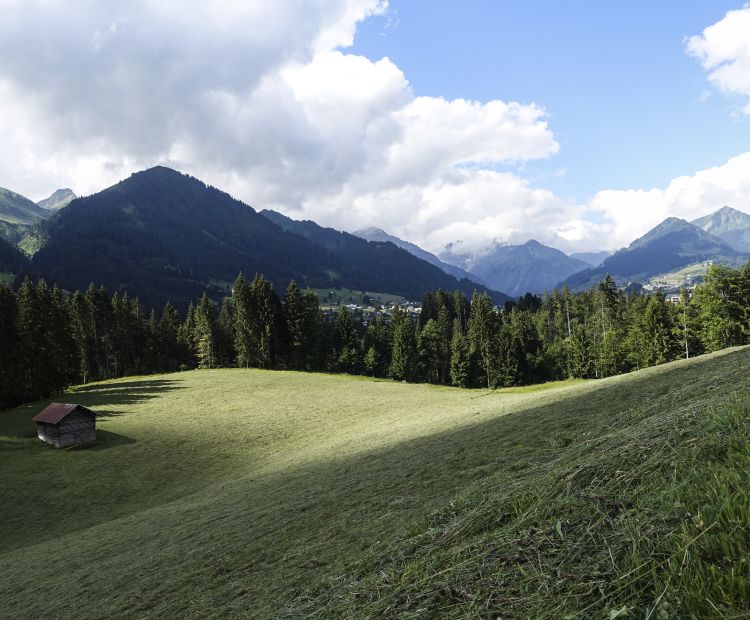 Panorama Straussberg HÃ¶rnlepass