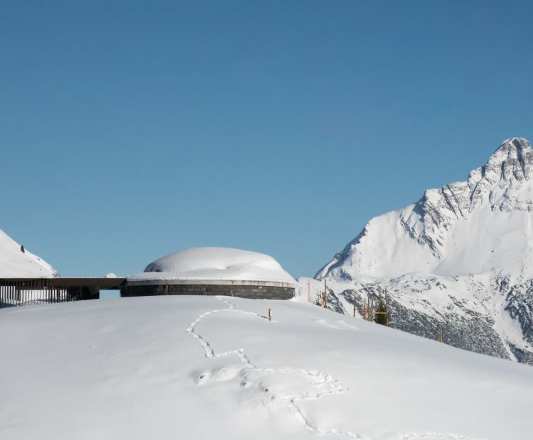 __NO_NAME__ __NO_NAME__