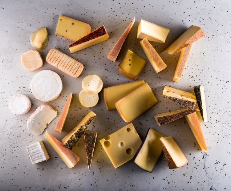 Käse-Variation Käse-Variation