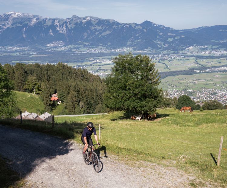 Gravelbike Laternsertal