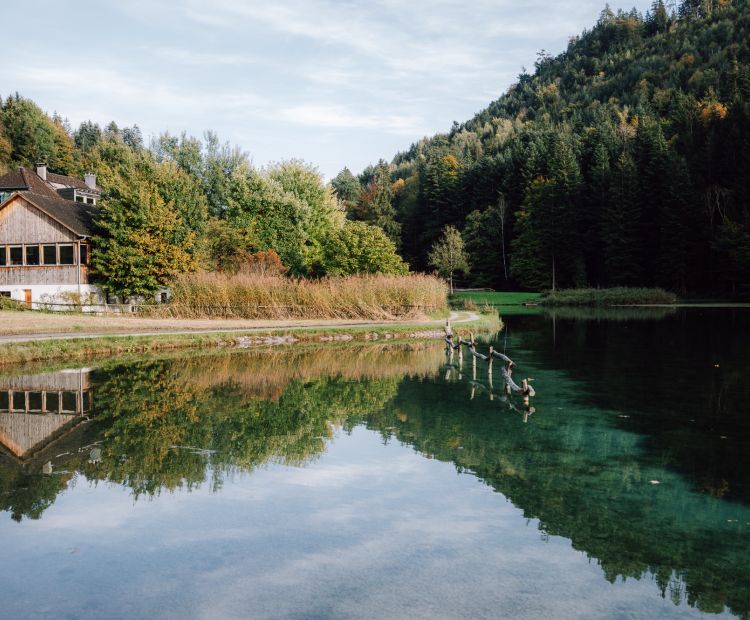 Fallersee in Schnifis Â©Buero Ludwina, Bodensee-Vorarlberg Tourismus (3).jpg