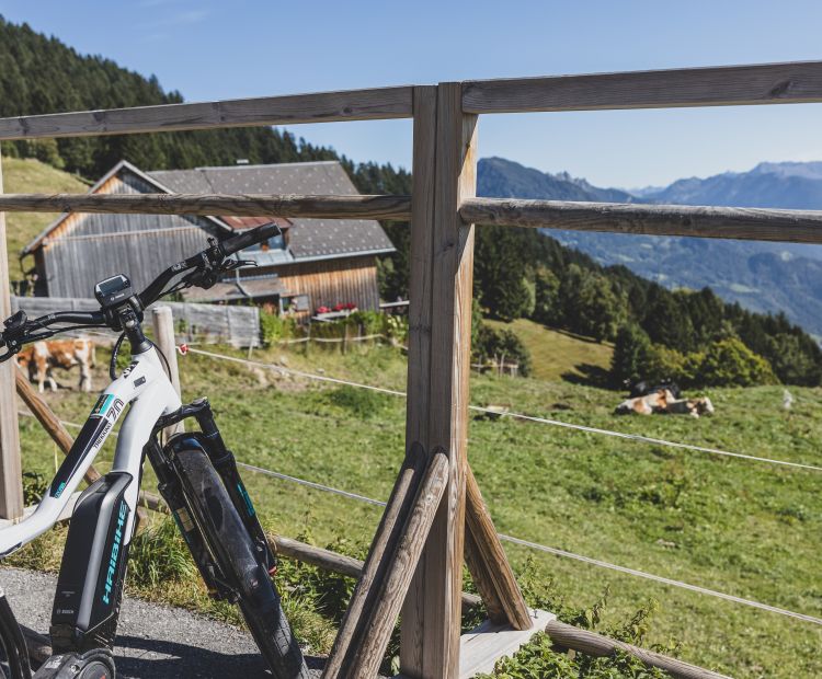 E-Bike, Seilbahn Schnifis