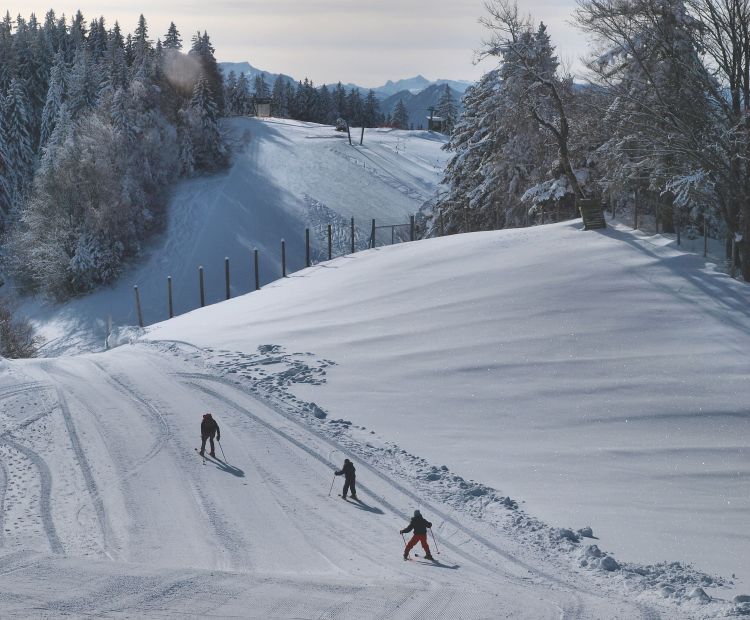 Pfänder Skifahren Pfänder Skifahren