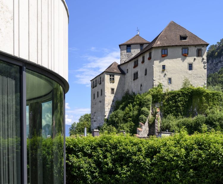 Schattenburg und Montforthaus Feldkirch