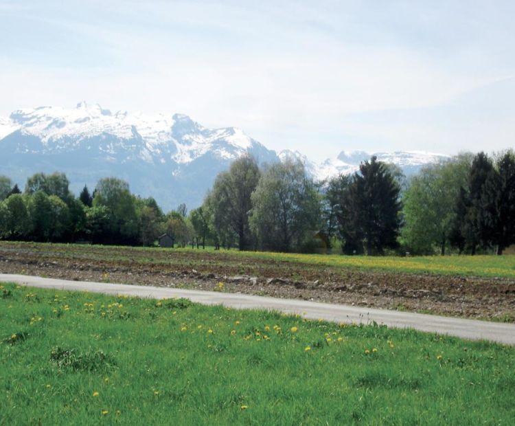 Vorarlberg Tourismus Tisner Ried