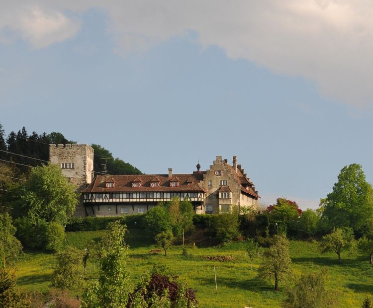 Friedrich Böhringer Schloss Wolfurt
