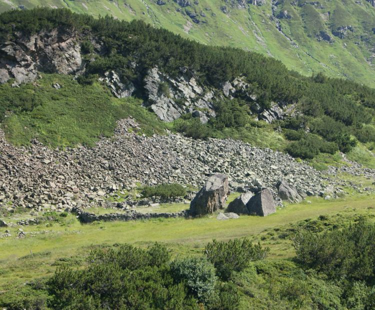 Julia Mangeng - Silvretta Historica; Montafon Tourismus GmbH Viehpferch