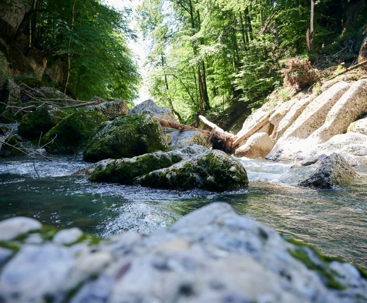 Die Engenlochschlucht in Hittisau Die Engenlochschlucht in Hittisau