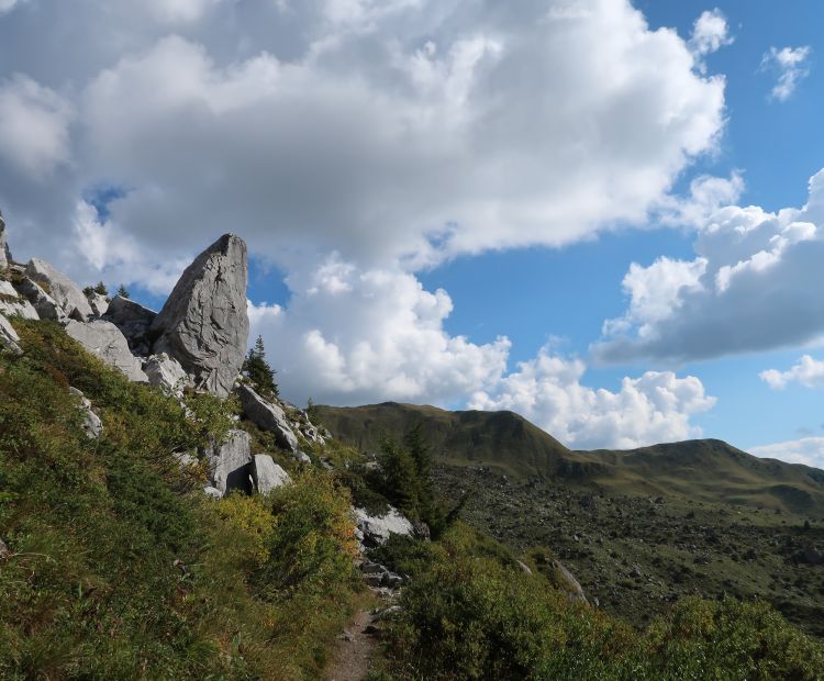 __NO_NAME__ __NO_NAME__