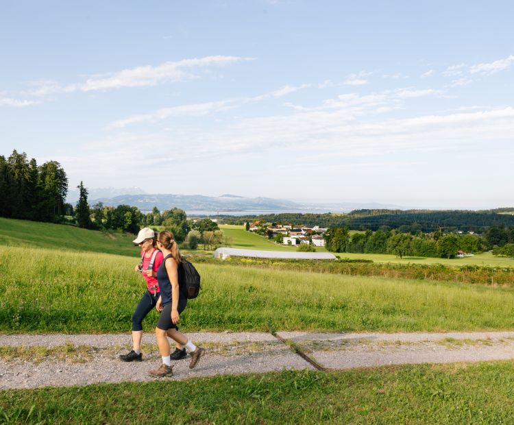 Wanderung mit Blick auf den Bodensee