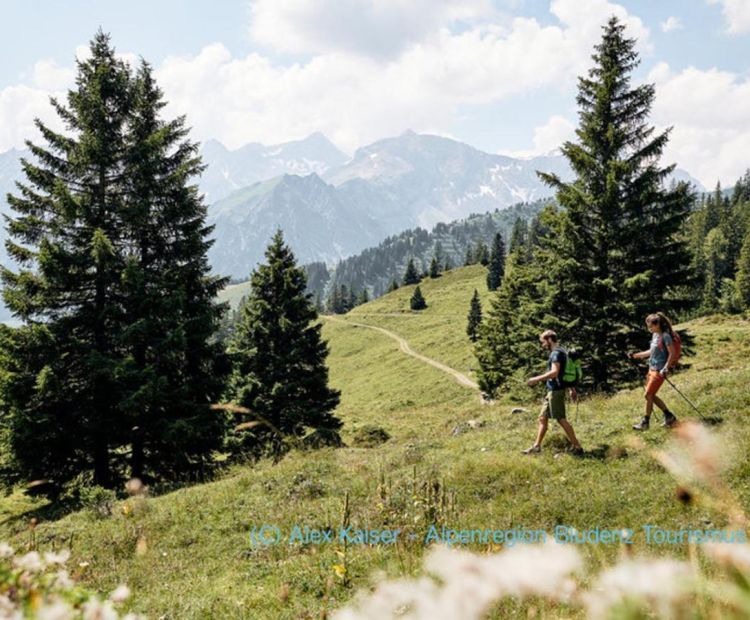 Ferienwohnung Düns4 Ferienwohnung Düns4