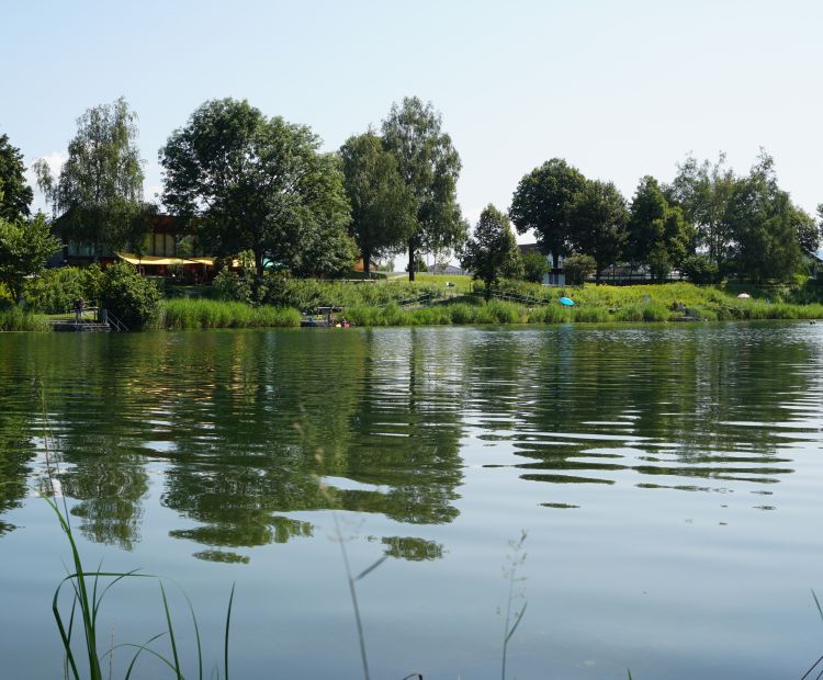 Naturbad Bruggerloch Höchst 