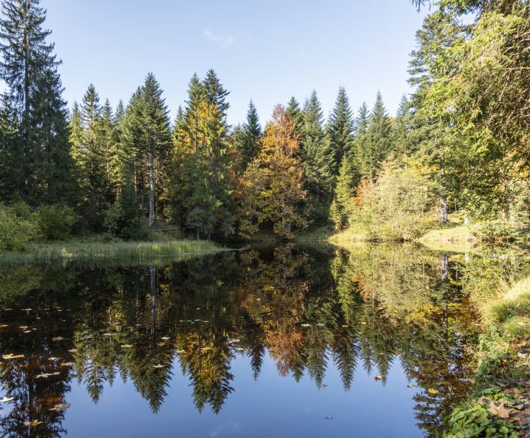 Bödelesee Herbst Bödelesee Herbst
