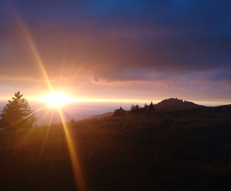 Dornbirn Tourismus & Stadtmarketing GmbH .jpg.jpeg