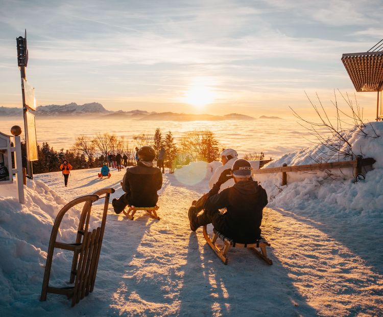 Sonnenuntergang Pfänder Rodel Sonnenuntergang Pfänder Rodel